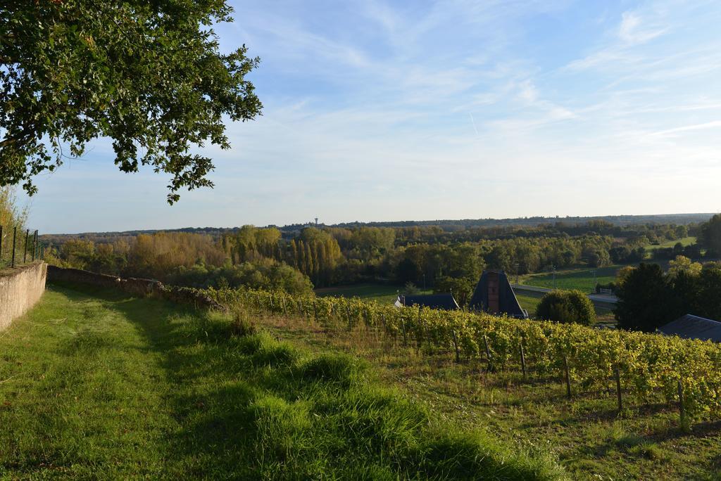 Gites Troglodytes Du Chateau De L'Etoile Vernou-sur-Brenne Chambre photo