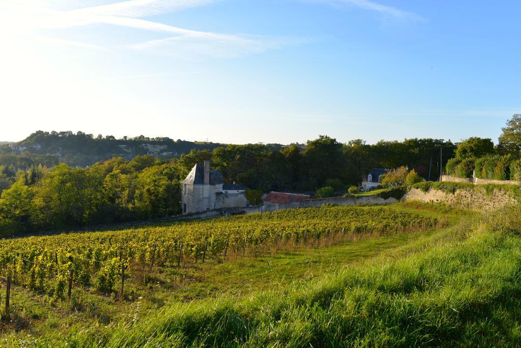 Gites Troglodytes Du Chateau De L'Etoile Vernou-sur-Brenne Chambre photo