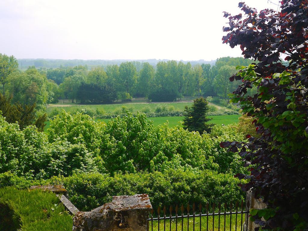 Gites Troglodytes Du Chateau De L'Etoile Vernou-sur-Brenne Extérieur photo